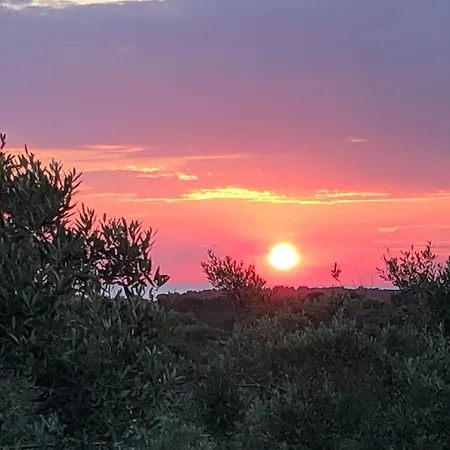 Villa Ligiannelli Gallipoli Taviano (Lecce)